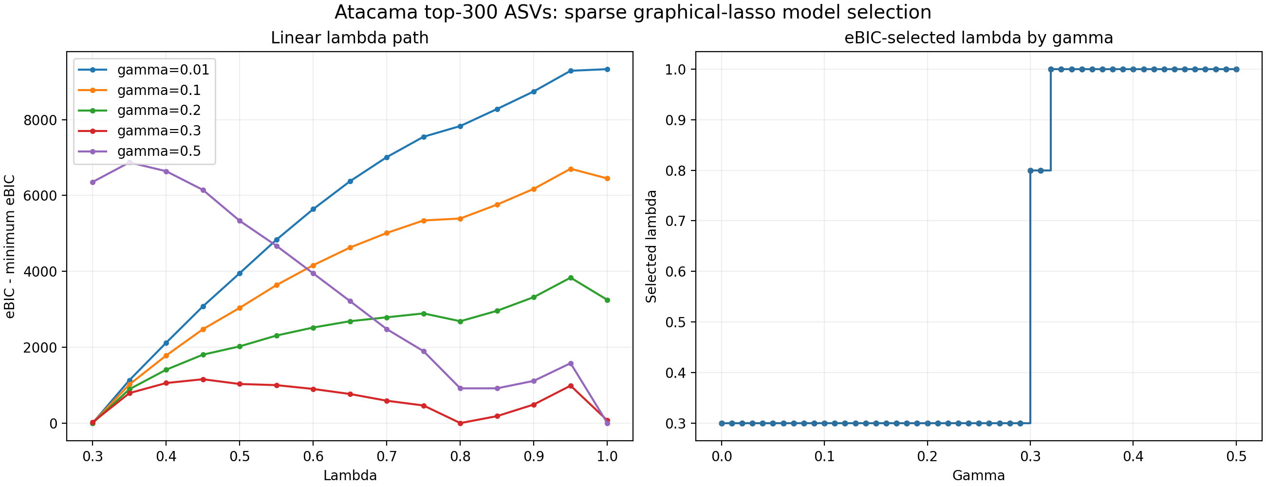 Linear eBIC model selection for the 300-ASV single graphical lasso