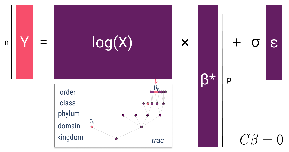 Log-contrast model interpretation